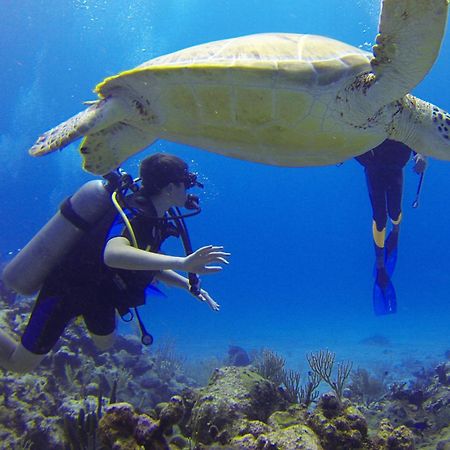 Roxon Red Sea Eilat - Adults Only 호텔 외부 사진