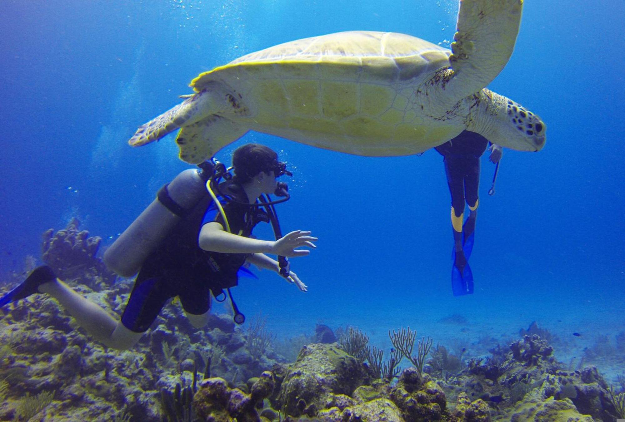 Roxon Red Sea Eilat - Adults Only 호텔 외부 사진